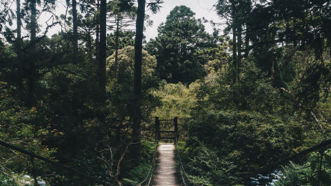 klimja Case Background